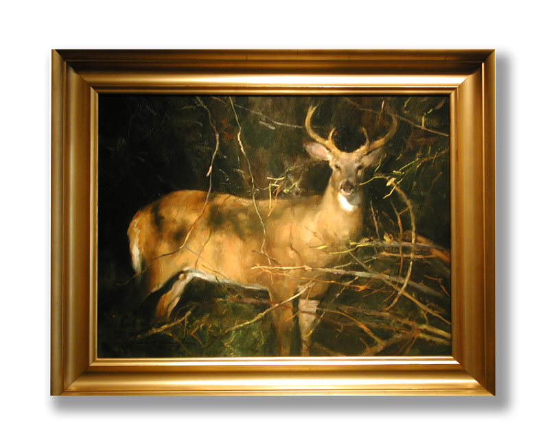 GLENN HARRINGTON - BUCK