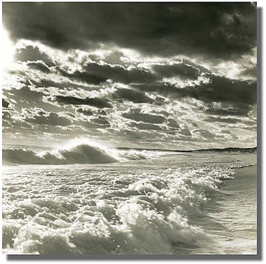 MICHAEL KAHN SURF #02918