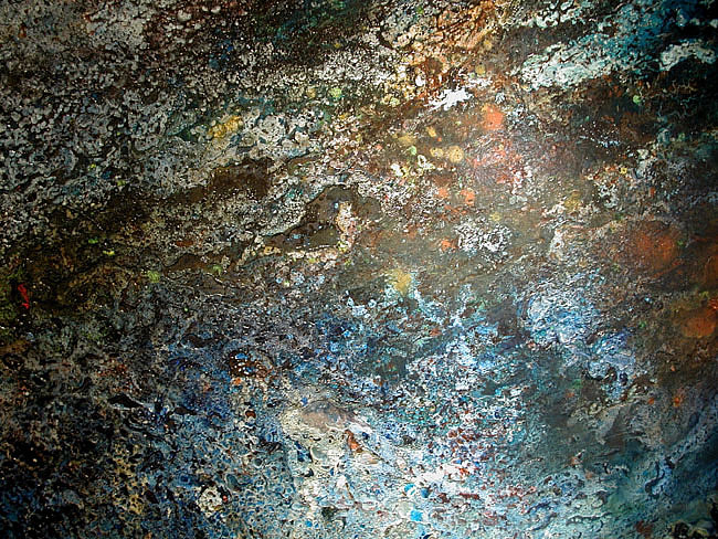 TAMANIAN_PT108 BLUE MOVE DETAIL